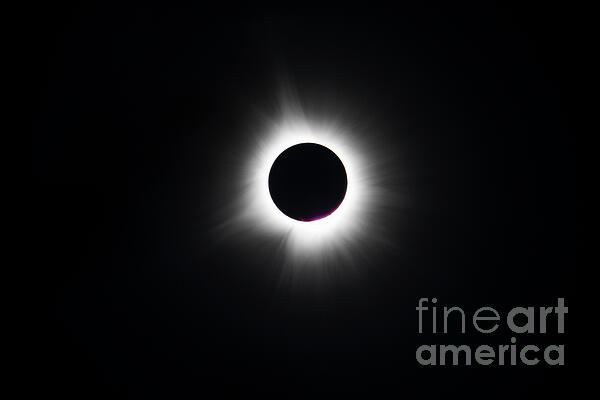 Dennis Hedberg - 2024 Total Eclipse