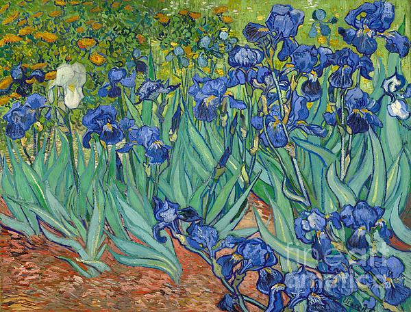 Vincent van Gogh - Irises