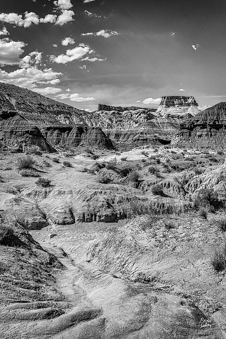 Rio Grande at Big Bend Bath Towel by Gestalt Imagery - Fine Art