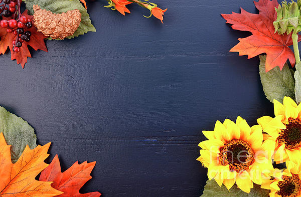 Fall & Autumn In Blue Printer Paper