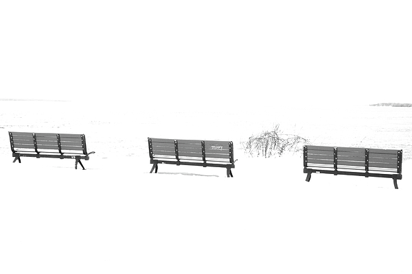 David Toy - 3 Benches