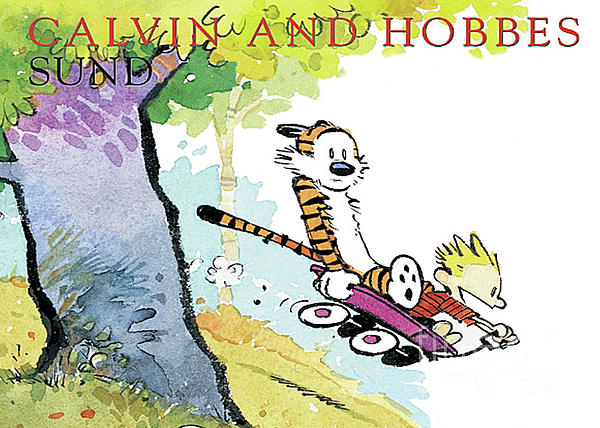 Calvin And Hobbes Run, Calvin And Hobbes Comics, Calvin And Hobbes New 