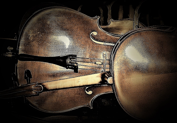 Elizabeth Pennington - 3 Cellos