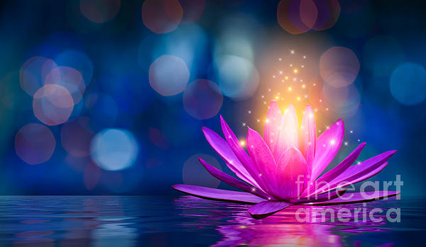 lotus Pink light purple floating light sparkle purple background