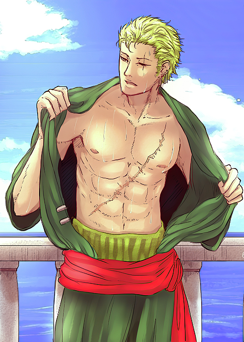 Roronoa Zoro One Piece #12 Duvet Cover by Enid Monahan - Pixels