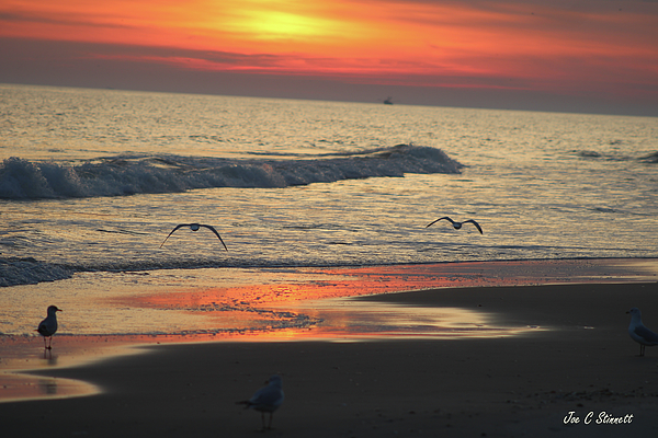 Ocean Isle Beach Kitchen Towels