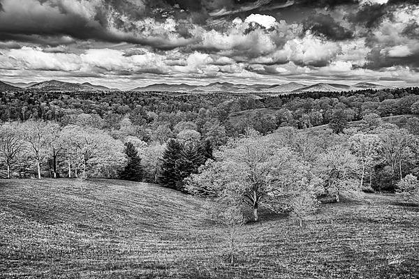 https://images.fineartamerica.com/images/artworkimages/medium/3/4-biltmore-estate-gardens-and-grounds-asheville-north-carolina-gestalt-imagery.jpg