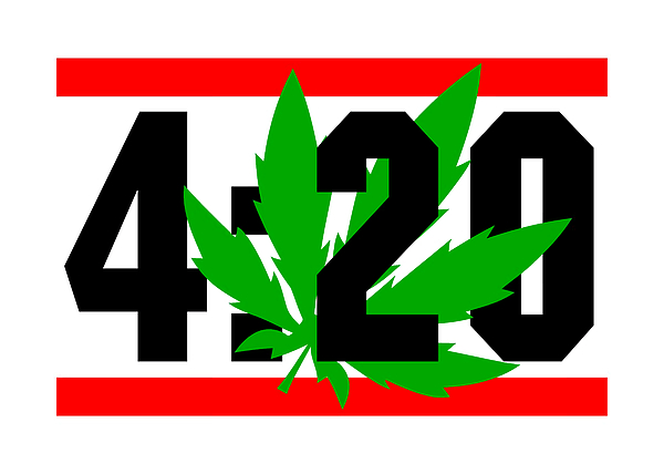  420 Weed Cannabis Fleece Throw Blanket 50 x 60