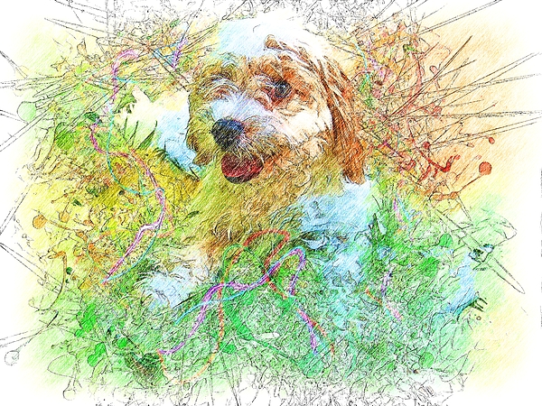 Cavapoo Dog - Jigsaw Puzzle