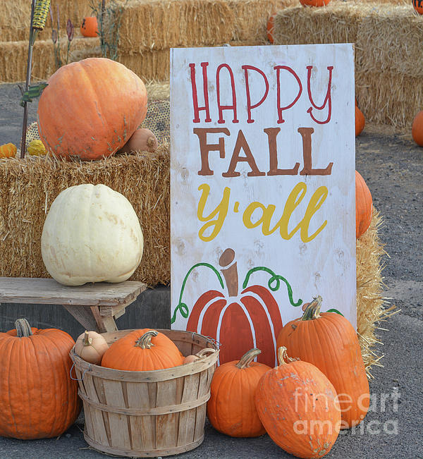 https://images.fineartamerica.com/images/artworkimages/medium/3/5-happy-fall-at-the-pumpkin-patch-in-ontario-malheur-county-oregon-norm-lane.jpg