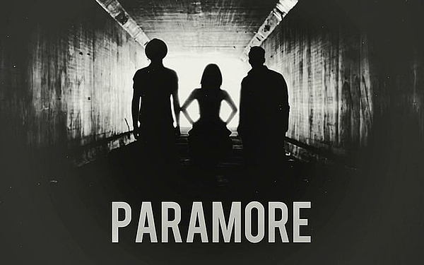 Paramore Merch Poster Art Wall Poster Sticky Poster Gift For Fan