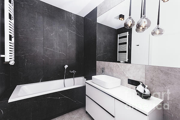 https://images.fineartamerica.com/images/artworkimages/medium/3/8-modern-new-luxury-bathroom-interior-design-michal-bednarek.jpg