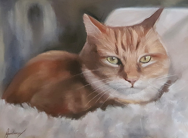 Jessica Keegan - A cat in soft pastel