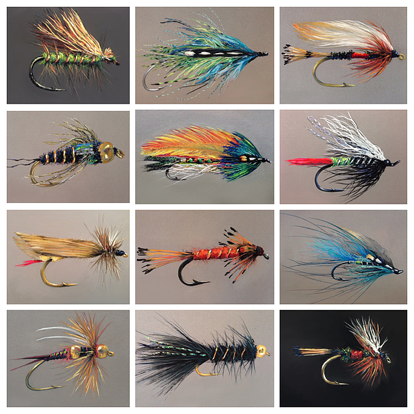 https://images.fineartamerica.com/images/artworkimages/medium/3/a-collection-of-fishing-flies-cindy-gillett.jpg