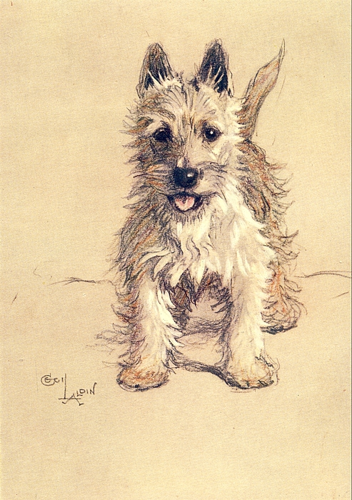 Dog Art