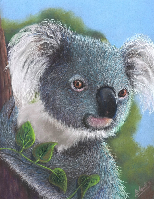 Allison Griffin - A Koala Kind of Day
