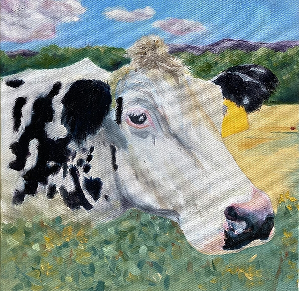 Stowe Art