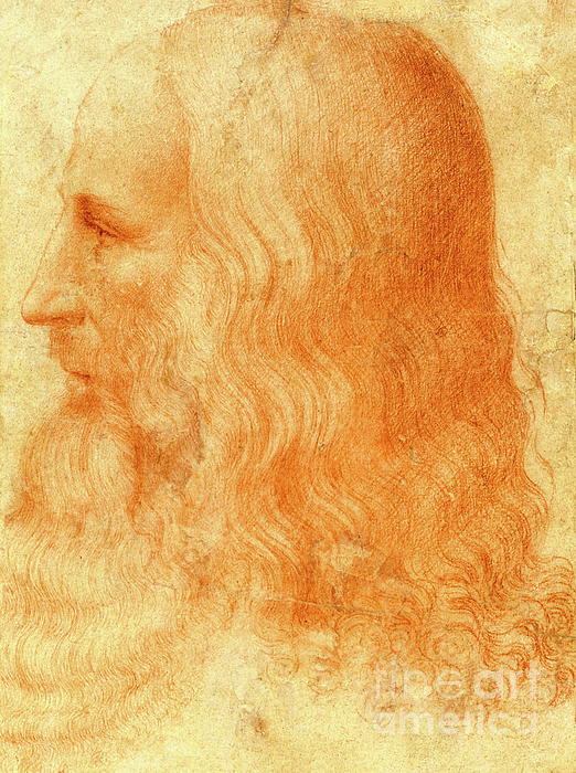Francesco Melzi - A portrait of Leonardo