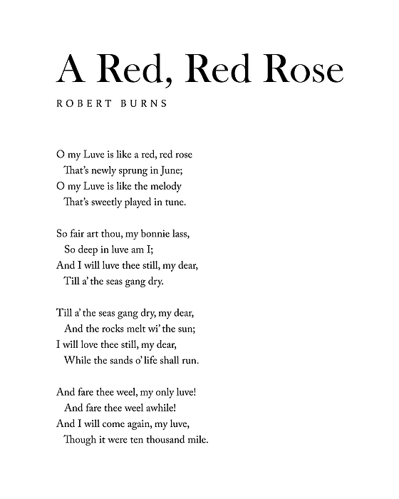 my love is like a red red rose poem
