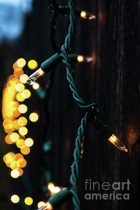 Christmas Photographs