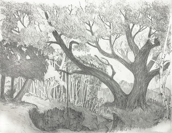 Serene Art