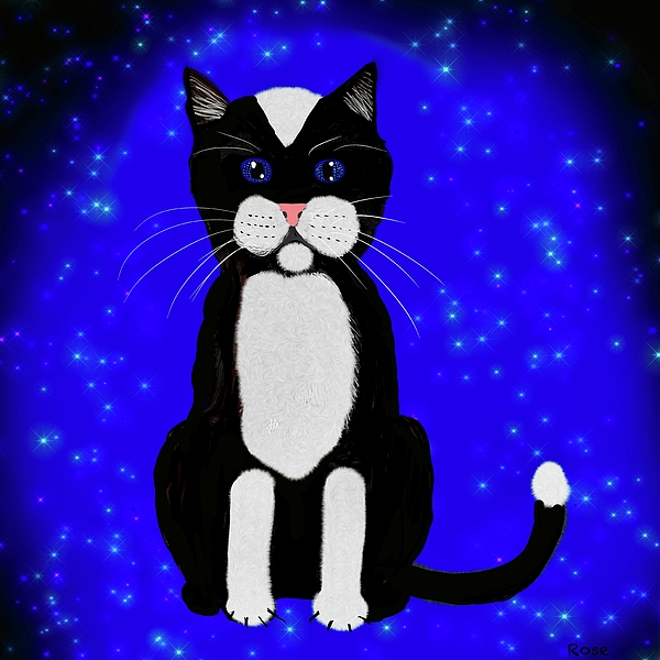 Elaine Hayward - A whimsical cat with the stars