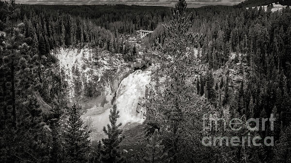 Anthony Ellis - A Yellowstone Waterfall - Bw