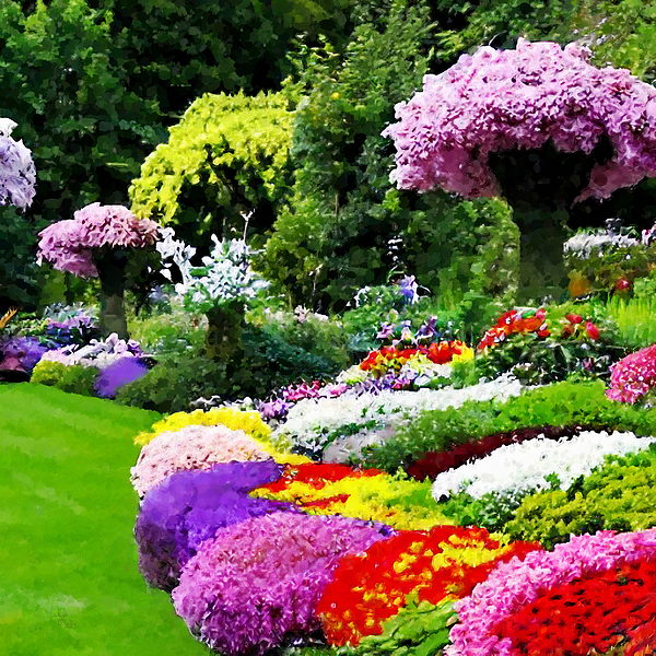 Sandi OReilly - Aboretum Flower Garden