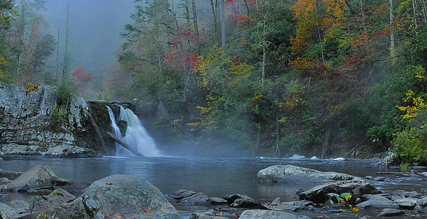 Fall Photographs
