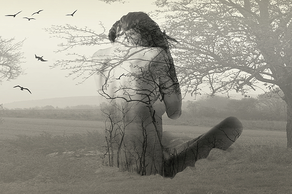 ALVI Avshalom Levi - Abstract Nude Girls Back, Tree And Birds