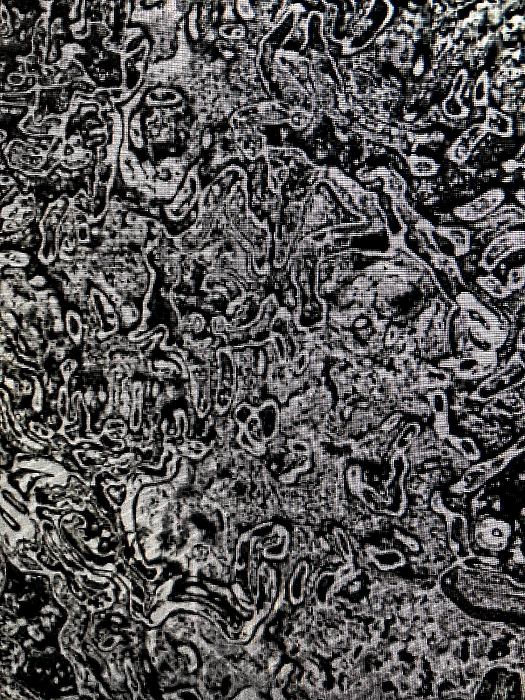 Black And White Digital+art