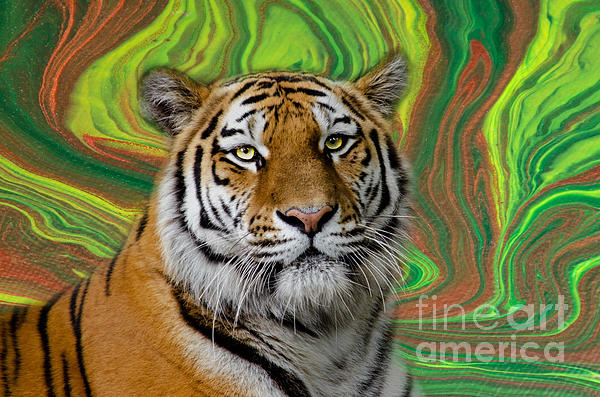 Elisabeth Lucas - Acrylic Pour Tiger