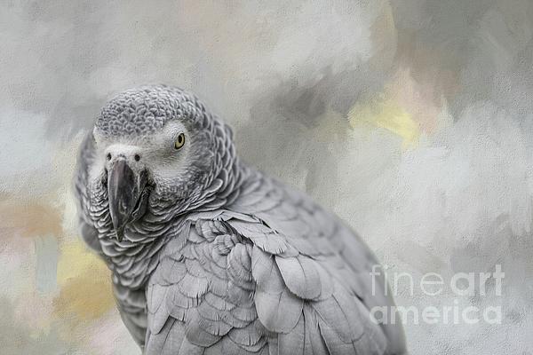 Eva Lechner - African Grey Parrot Portrait