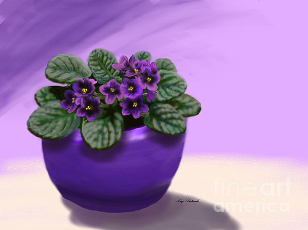 Gary F Richards - African Violet Beauty
