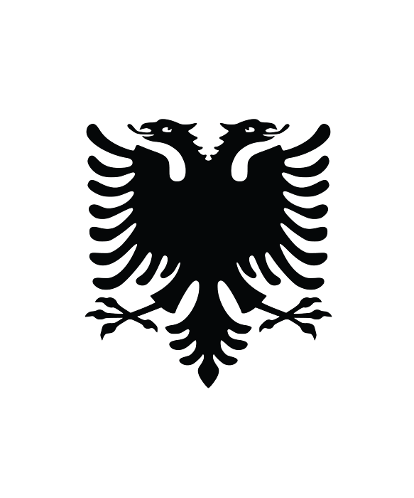 Albania T Shirt Albanian style double-headed eagle Albanian flag