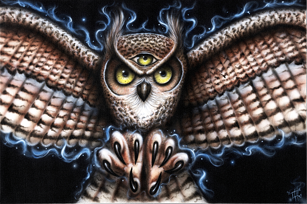 Tim Randall - All seeing wise owl