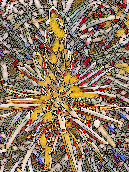 Antonis Meintanis - Aloe Vera Flower stained glass, mosaic