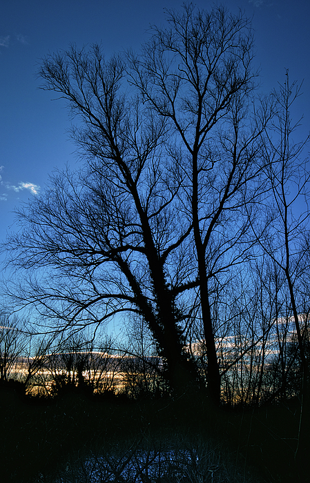 Sunset Photographs