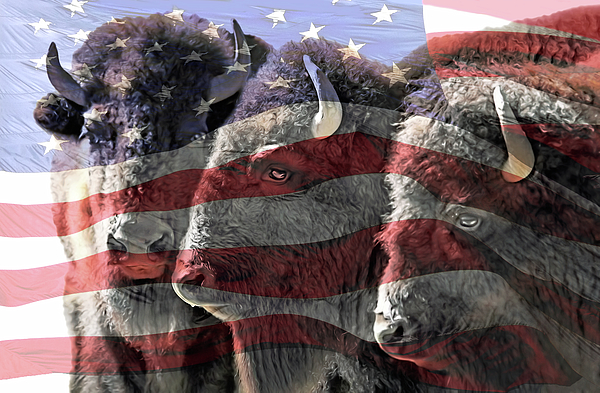 Jennie Marie Schell - American Buffalo USA Flag