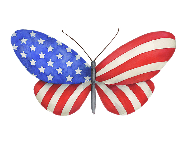 Download American Flag Butterfly Throw Pillow For Sale By Natasha Sazonova