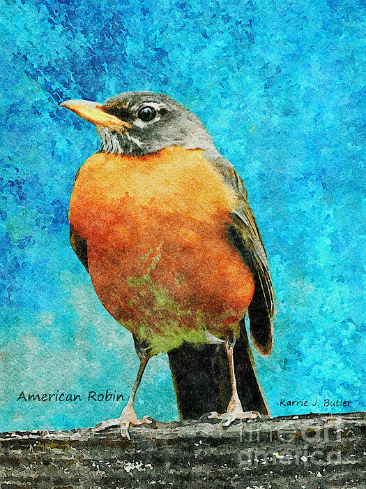 Wildlife Art