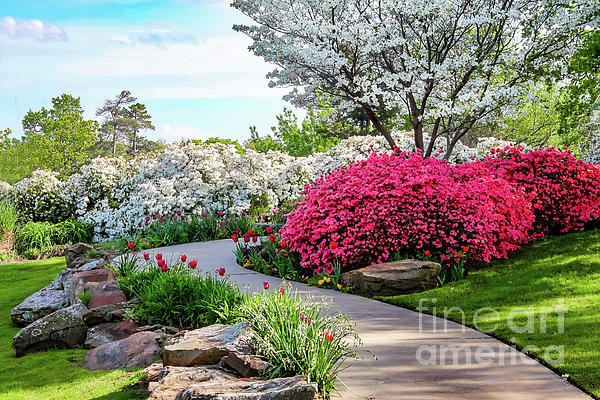 Landscape Photographs