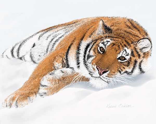 Karen Conger - Amur Siberian Tiger - Territorial, I