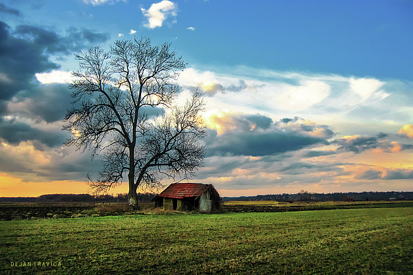 Cottage Photographs