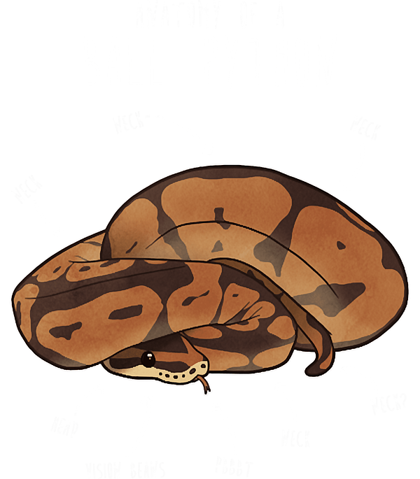 Anatomy of a Ball Python Greeting Card by Anatomy of a Ball Python