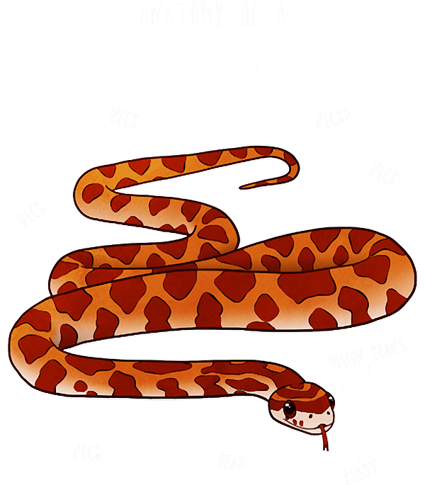 Anatomy of a Corn Snake TShirt by Anatomy of a Corn Snake Pixels