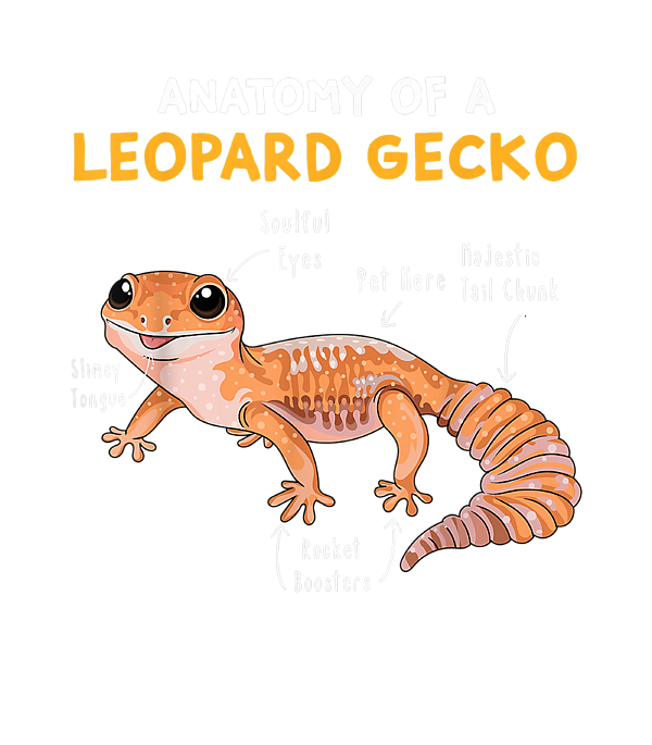 Anatomy Of A Leopard Gecko Funny Gecko Mom Reptile Dad Sticker by