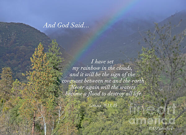 Debby Pueschel - And God Said Rainbow