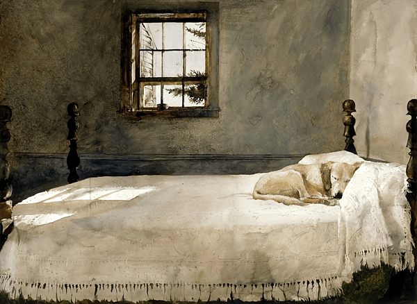 Alex Hunt - andrew wyeth master bedroom Canvas Print