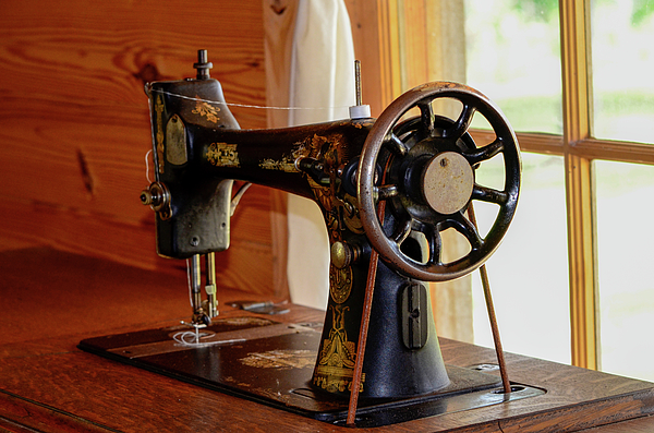 TJ Baccari - Antique Sewing Machine